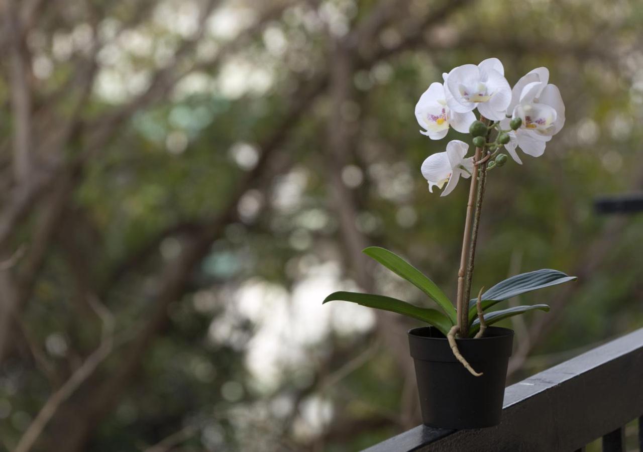 Houseloft Harmony Gardens Apartment เทสซาโลนิกิ ภายนอก รูปภาพ